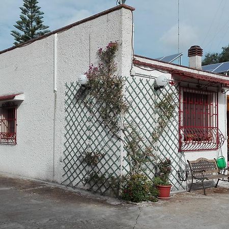 B&B Villa Lucia Mesagne Exterior photo