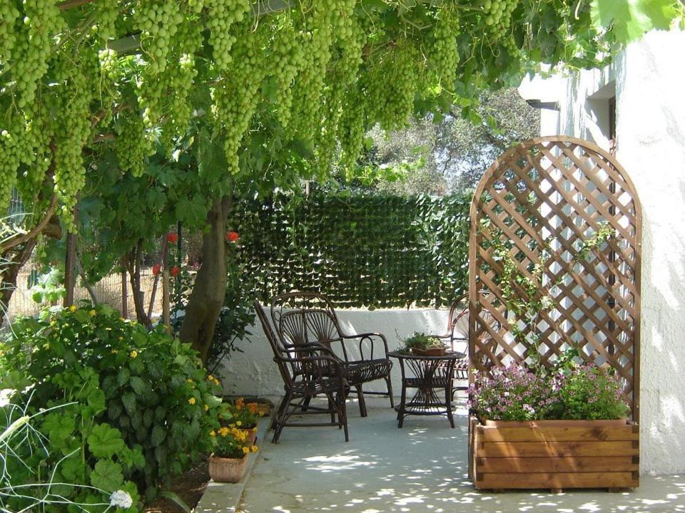 B&B Villa Lucia Mesagne Exterior photo