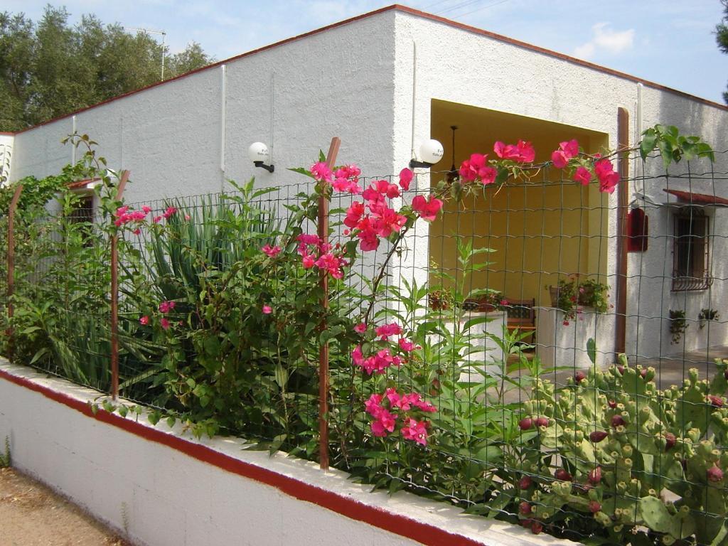B&B Villa Lucia Mesagne Exterior photo