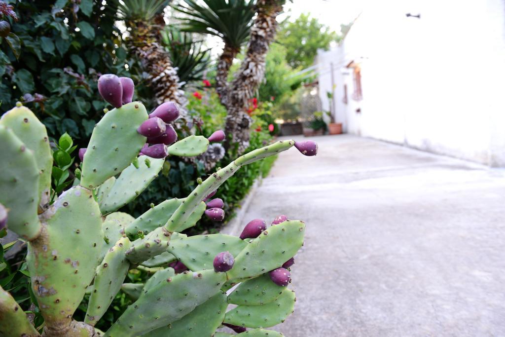 B&B Villa Lucia Mesagne Exterior photo