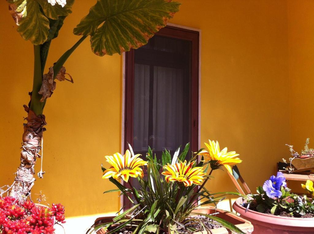 B&B Villa Lucia Mesagne Exterior photo