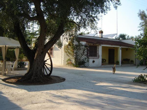 B&B Villa Lucia Mesagne Exterior photo